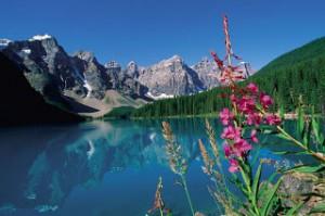 que es medio ambiente