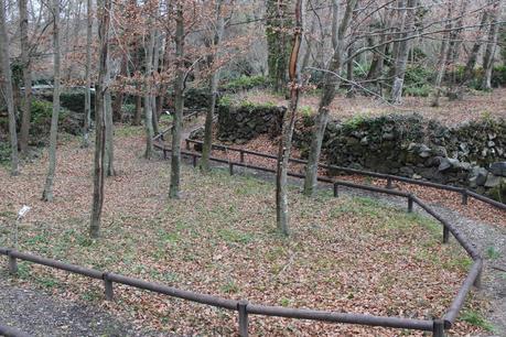 Restaurante la Deu en la Fageda d'en Jordà en Olot (Girona)