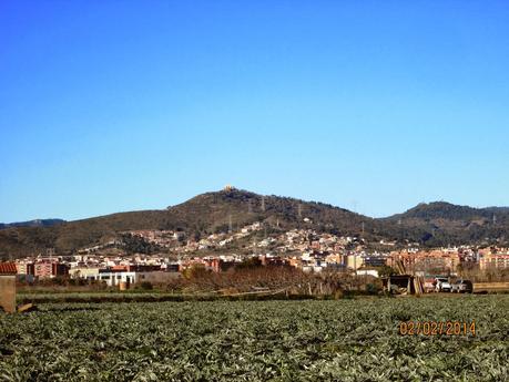 Gavá - Sant Boi - Sant Ramón - Sant Climent - Gavá  02/02/2014