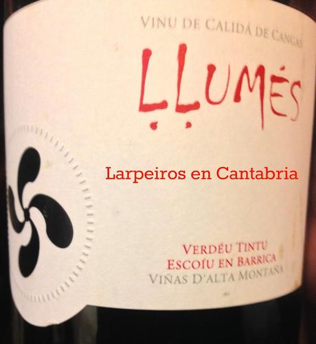 Vino Tinto Llumés 2010: Buena evolución