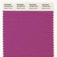 ORQUIDEA RADIANTE, COLOR DEL AÑO 2014