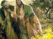 Sinopsis nuevo testamento (parte