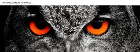 quieres ser mejor blogger, #bundi quieres ser mejor blogger, #bundi