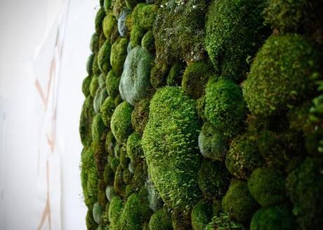 La nueva percepción del arte urbano: graffitis ecológicos hechos de musgo La nueva percepción del arte urbano: graffitis ecológicos hechos de musgo