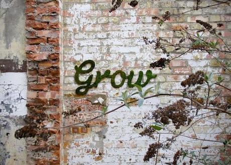 La nueva percepción del arte urbano: graffitis ecológicos hechos de musgo