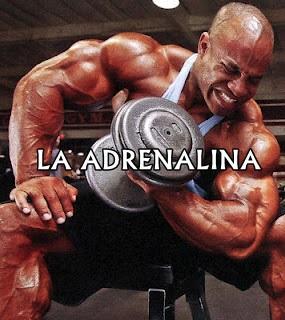 La Adrenalina
