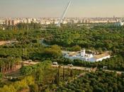 Correr Sevilla