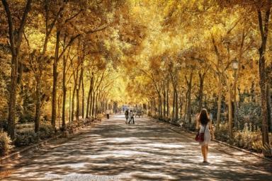 Correr en Sevilla parque-de-maria-luisa_3626491