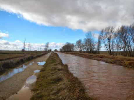 Canal de Castilla. De Boadilla del Camino a Frómista