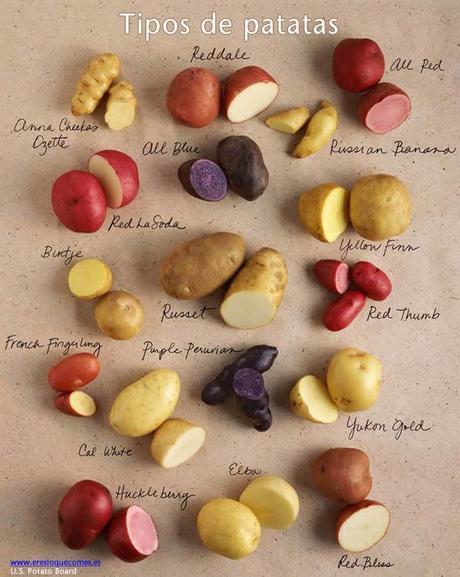 variedades patatas