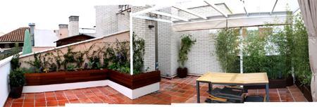 jardin reforma despues Diseño de jardín & huerto urbano para la terraza de la azotea