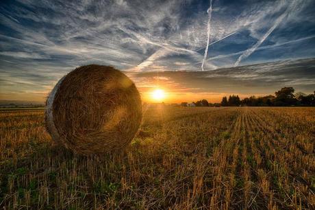 hdr campo