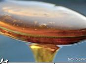 Sirope Ágave dieta Dukan