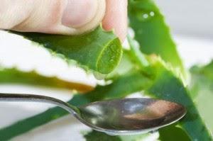 10 Razones para tomar jugo de aloe vera