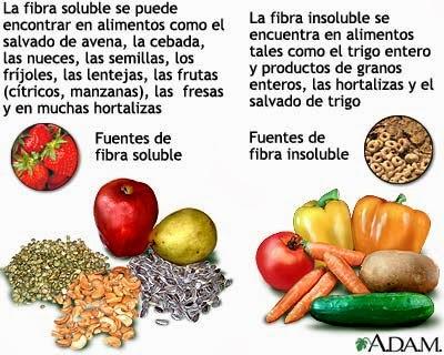 Fibra en la alimentación ¿sí o no?