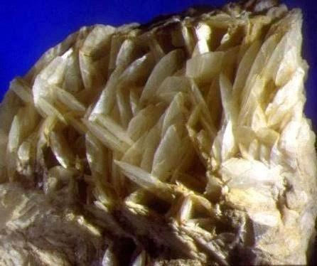 Qué falta  (y qué sobra en tu dieta) ¿?