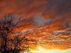 Look Atardecer Otoñal