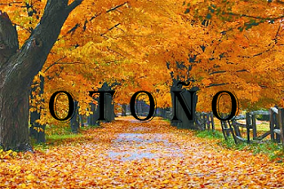 Look Atardecer Otoñal