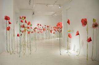 Amapola lindísima amapola