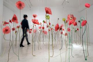 Amapola lindísima amapola