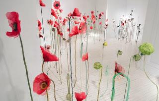 Amapola lindísima amapola