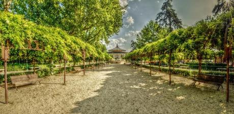 Paseo de Merchán o Paseo de La Vega en Toledo