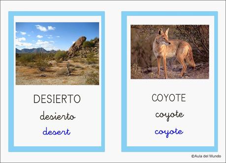 Vocabulario aprendido