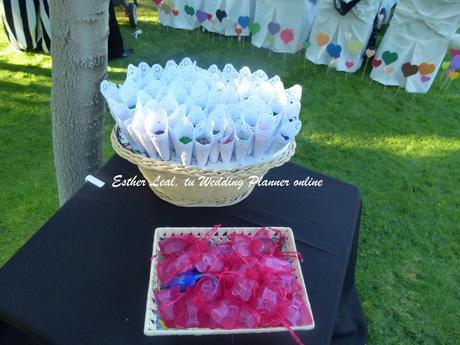 La presentación del arroz P1040409