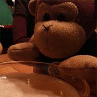 el whisky es bueno para la voz