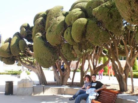 La estrella de los tejados...