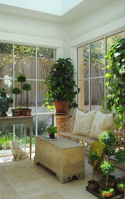 RINCONES CON PLANTAS.