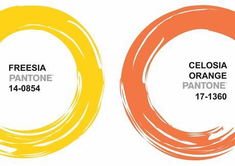 Esta tarde os espero en Canal Castilla y León!!! Esta tarde os espero en Canal Castilla y León!!!