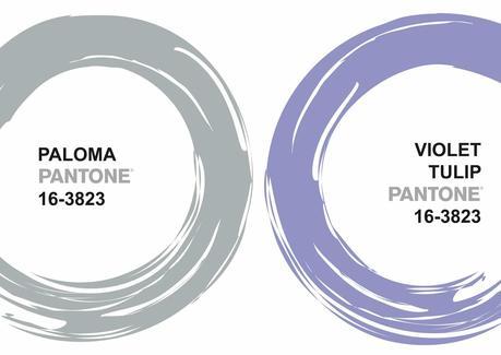 Esta tarde os espero en Canal Castilla y León!!! Esta tarde os espero en Canal Castilla y León!!!