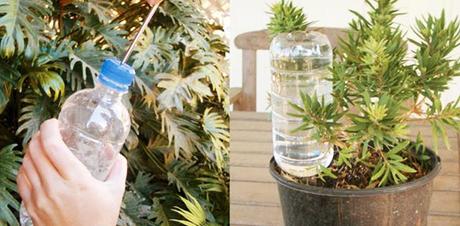 Trucos para regar tus plantas con botellas en vacaciones | ConTuFamilia