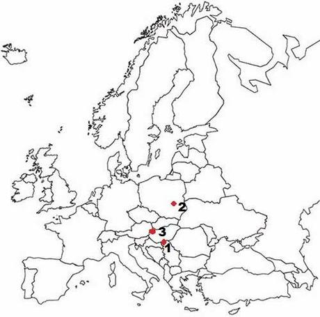 Invernada de cabecinegras: orientales