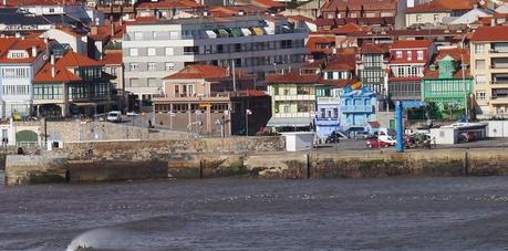 Invernada de cabecinegras: orientales