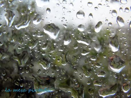 Macro del Día - Lluvia y azúcar Macro del Día - Lluvia y azúcar