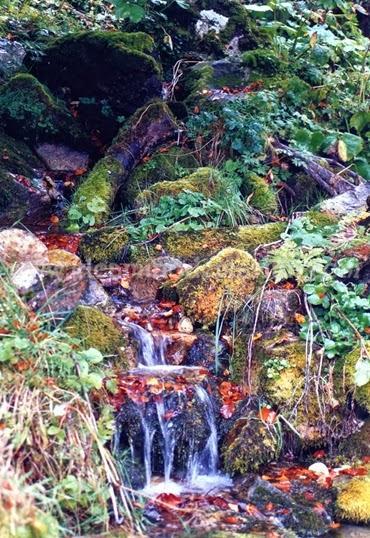Senderos asturianos del agua, Cascada del Mongallu, 