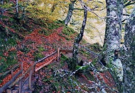 Senderos asturianos del agua, Cascada del Mongallu, 