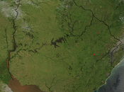 chancha cuatro riales