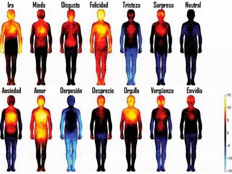 Las emociones y el cuerpo | ConTuFamilia