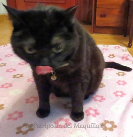 Degustabox Enero 2014 Degustabox Enero 2014