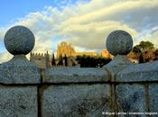 ¡Por cuánto tiempo...!