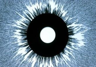 EL DESCUBRIMIENTO DEL SIGLO, EL PRIMER MONOPOLO MAGNÉTICO