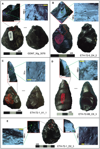 EL HOMO HEIDELBERGENSIS Y LA LANZA MÁS ANTIGUA DEL MUNDO