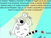 hizo completa para Atila