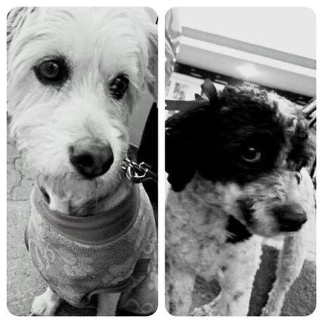 Creatividad publicitaria