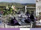 Últimas tendencias decoraciones para bodas eventos.