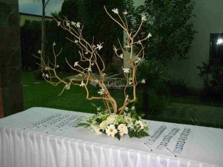 decoracion arbol de los deseos