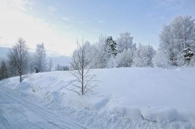 Tormenta invernal Nika amenaza a 120 millones en EEUU